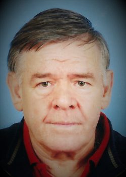 MLADEN OSTOJIĆ1
